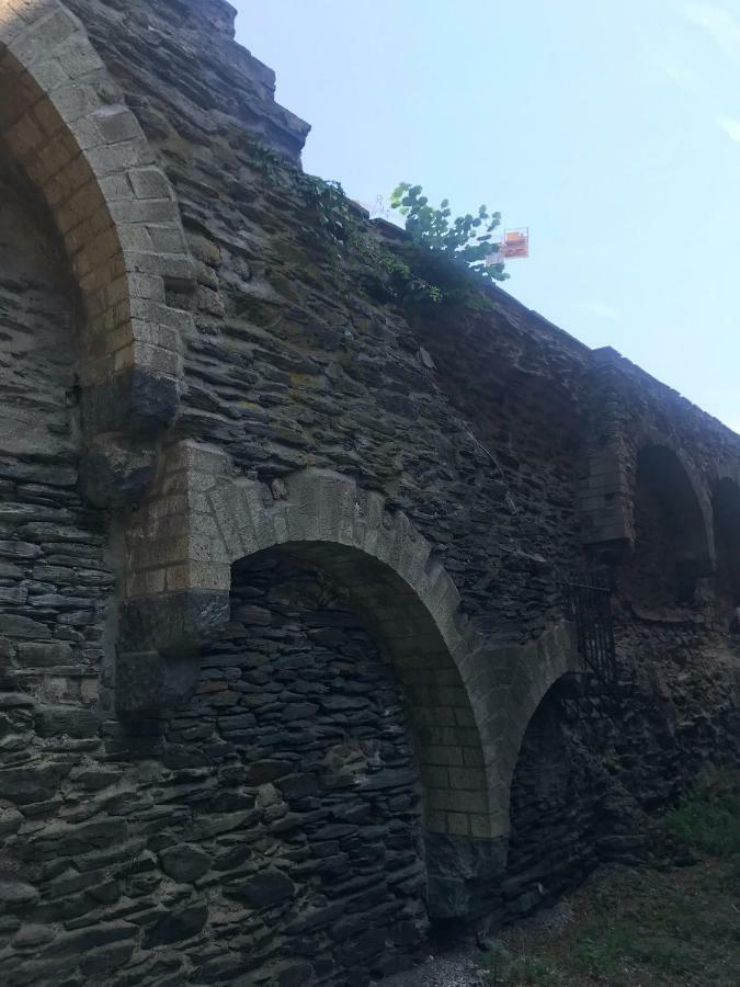 Back To School Andernach